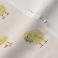 Baby Chicks on Vanilla Peach, Easter Spring