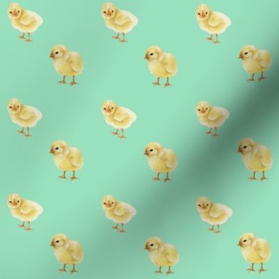 Baby Chicks on Soft Green, Easter Spring