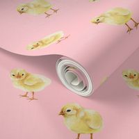 Baby Chicks on Pink, Easter Spring
