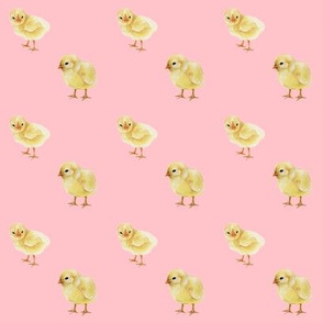 Baby Chicks on Pink, Easter Spring