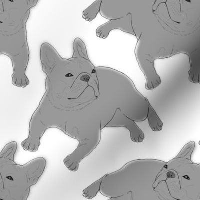 Tinted French Bulldog sketch - white