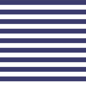 USA Flag Blue and White Stripes 