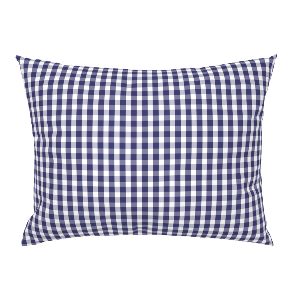 USA Flag Blue and White Gingham Checks 