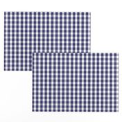 USA Flag Blue and White Gingham Checks 