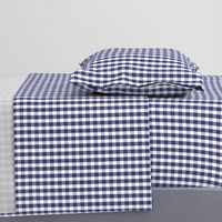 USA Flag Blue and White Gingham Checks 