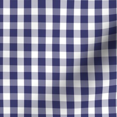 USA Flag Blue and White Gingham Checks 