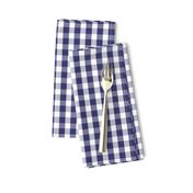 USA Flag Blue and White Gingham Checks 