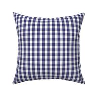 USA Flag Blue and White Gingham Checks 