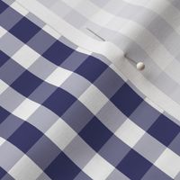 USA Flag Blue and White Gingham Checks 