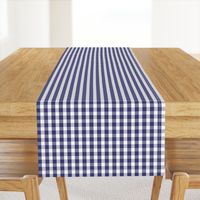 USA Flag Blue and White Gingham Checks 