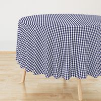 USA Flag Blue and White Gingham Checks 