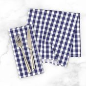 USA Flag Blue and White Gingham Checks 