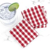 USA Flag Red and White Gingham Checks