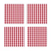 USA Flag Red and White Gingham Checks