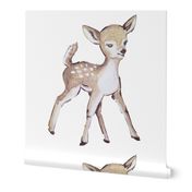 Large Scale Fawn