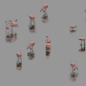 Flamingoes in Grey - Soft