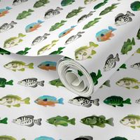 7 Sunfish Pattern