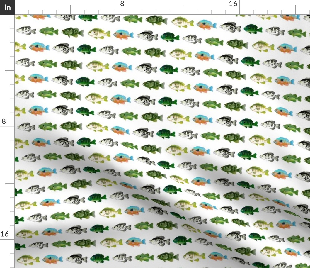 7 Sunfish Pattern