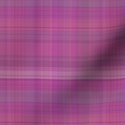 Sorbet Purple Plaid 3