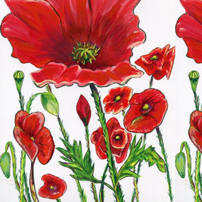 Red Poppy