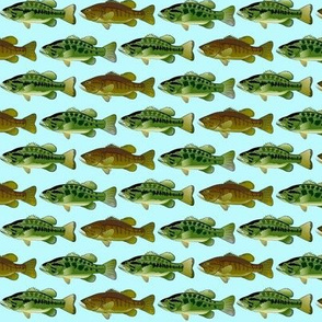 3 black bass lt blue background