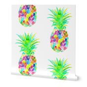 pineapple colorful