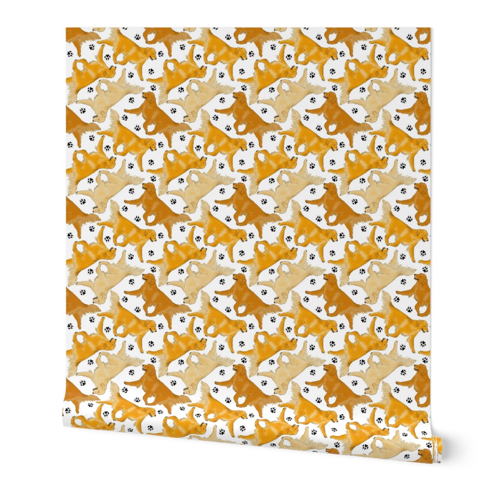 Trotting Golden Retrievers and paw prints - white