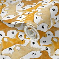 Trotting Golden Retrievers and paw prints - white