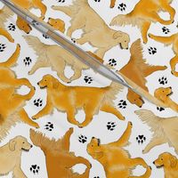 Trotting Golden Retrievers and paw prints - white