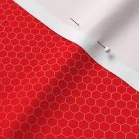 Ladybug Pattern Fabric