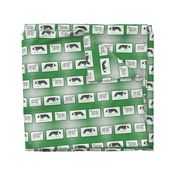 Border Collies herding portrait - green