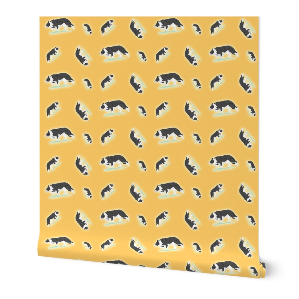 Herding Border Collies - gold