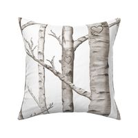 Birch Forest in Love