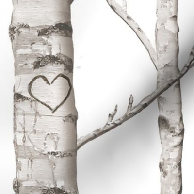 Birch Forest in Love