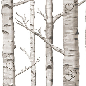 Birch Forest in Love