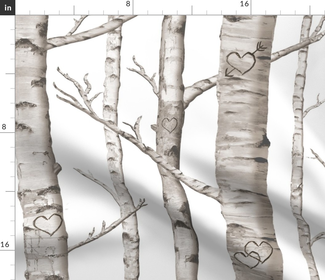 Birch Forest in Love