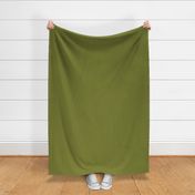 Olive Green Solid for Toasted Maplenut