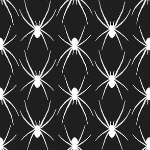 spider, spider (b&w)