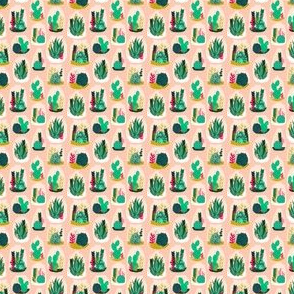 Terrarium // pink pastel cactus pattern cacti terrarium