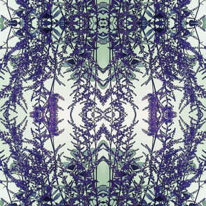 Lavender_Fern