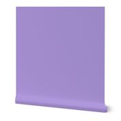 Solid Lilac