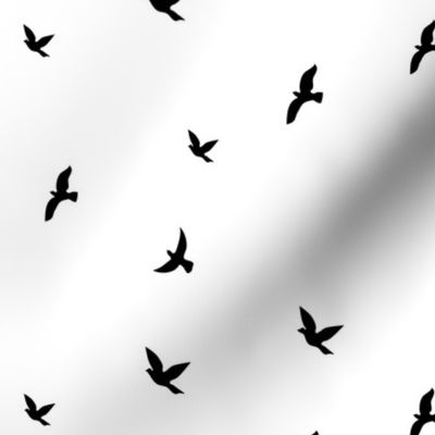Birds  Black& White