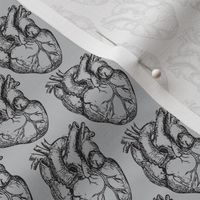 Hearts Anatomical on Soft Grey SMALL