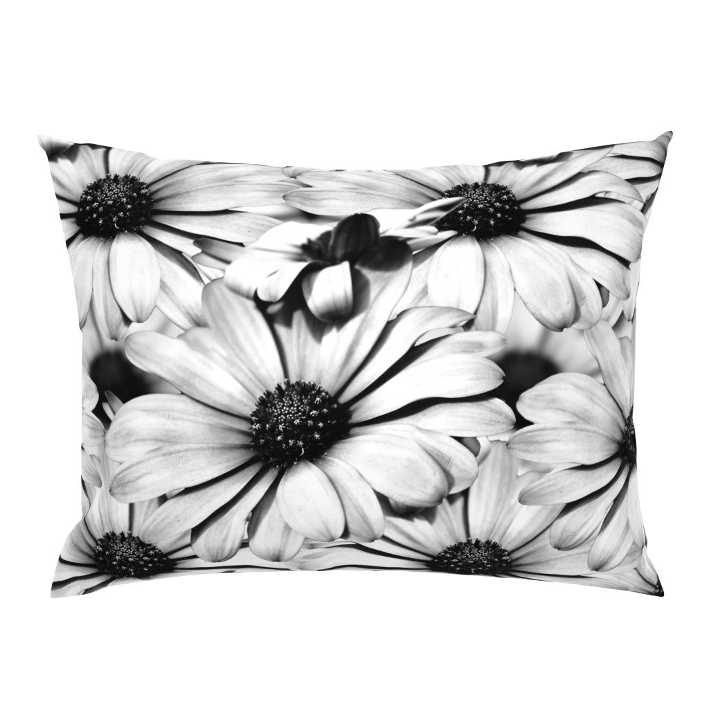 Black and White Dairy Floral