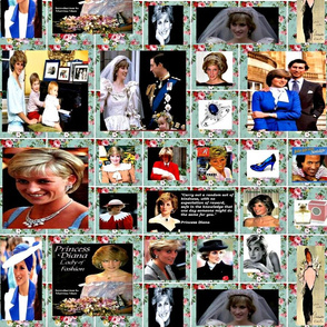 The Enigmatic Princess Diana