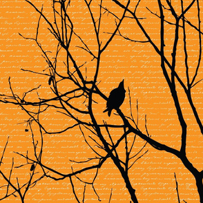 Bird_Orange_Handwriting