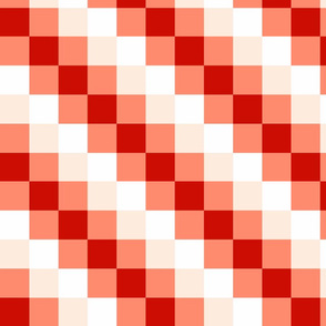 Diagonal Checkered Stripes - C