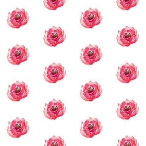 Mini Pink Roses