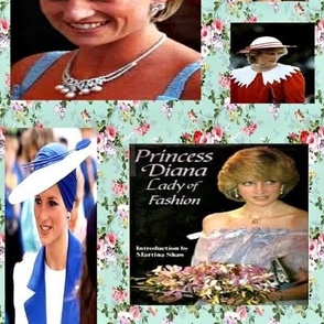 The Beautiful Princess Diana