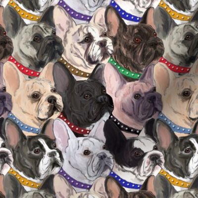 French Bulldogs